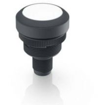 1.10.011.201/0201 ramo 22 t Bouton-poussoir 35 v/dc 0.1 a à rappel (l x l x h) 40 x 29.8 x 29.8 mm 1 pc(s) - Rafi