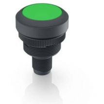 1.10.071.001/0551 Voyant lumineux vert 1 pc(s) - Rafi