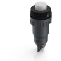 1.10.102.001/0205 Drucktaster 250 v 2 a tastend (l x b x h) 20 x 20 x 50 mm 1 St. - Rafi