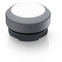 1.30.270.001/2208 x 22 fs Bouton-poussoir lumineux à rappel à rappel (l x l x h) 29.8 x 29.8 x 18.5 mm 1 pc(s) - Rafi