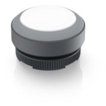 1.30.270.001/2208 x 22 fs Leuchtdrucktaster tastend (l x b x h) 29.8 x 29.8 x 18.5 mm - Rafi
