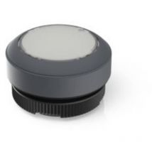 1.30.270.901/2207 x 22 fs Pulsante illuminato Momentaneo (l x l x a) 29.8 x 29.8 x 18.5 mm 1 pz. - Rafi