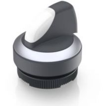 1.30.272.302/2200 x 22 fs+ Pulsante illuminato 2 x 60 ° 1 pz. - Rafi