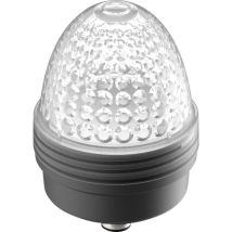 Rafi - 1.69.010.005/0000 Voyant Lumineux Incolore 1 Pc(s) V308533