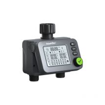 RAINPOINT Ordinateur d'irrigation 2 sorties avec entrée et sortie, minuterie de jardin programmable avec retard de pluie, système d'arrosage