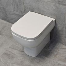 Rak Ceramics - Rak Series 600 Back to Wall Rimless Toilet Pan Including Seat wc, With Concealed Cistern
