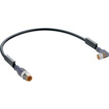 Connecteur confectionné pour capteurs/actionneurs Belden rst 3-RKMWV/LED a 3-224/0,6M 11750-1 M12 mâle, droit, femelle,