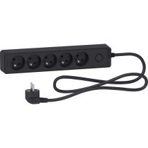 Schneider Electric - Bloc multiprises 5 Prises 2P+T (câble 1,5m) - Anthracite - Schneider