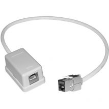 Rs Pro - Rallonge RJ45 cat. 6a 2 ports Blindé ( Prix pour 1 )