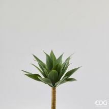 Ramo Agave H.48 Verde