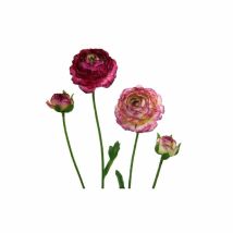 Rannunculus Viola – Decorazione da Interno – 40 cm – 0,02 kg