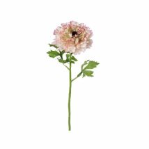 Ranunculus Mix Rosa – 49 cm – 0,03 kg – Piante verdi artificiali