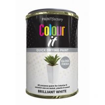 Paint Factory - 3067 Colour It Quick Dry Paint White Gloss 300ml