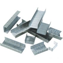 Rapesco - 53/6MM Staples (Box-2000)