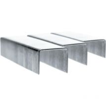 Rapid - 53/14MM Galvanised Staples (Pack-2500)