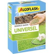 Rasen-samen - Algoflash - Universell - 2 Kg