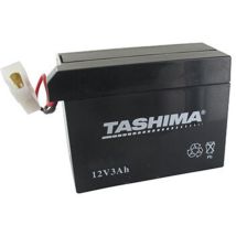 Motorrad-batterie Tashima 12v, 3a, Anpassbar Für Tecumseh. L: 110, B: 55, H: 80 Mm, Mit Spezialanschluss (ohne Säure Geliefert)