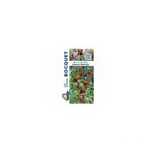Ratibida Chapeau mexicain - 1g