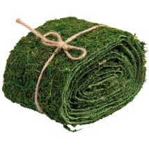 Rayher Nastro Muschio, 10Cm, Rotolo 2M, 5531800