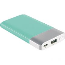 PB-4000 Powerbank 4000 mAh LiPo Blau - Realpower