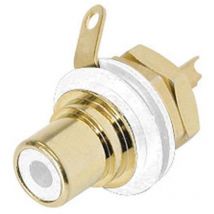Rean - presa phono (rca) - contatti placcati oro - bianco