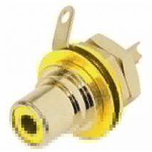 Rean - presa phono (rca) - contatti placcati oro - giallo