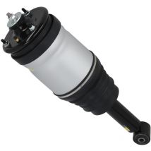 Rear Air Ride Suspension Strut For Range Rover Sport L320 LR016404 RPD501030