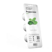 Emsa click & grow menthe poivrée (M5260800) Click And Grow