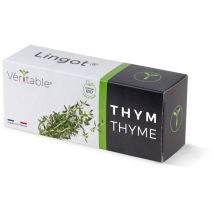 Recharge Véritable Lingot Thym Bio