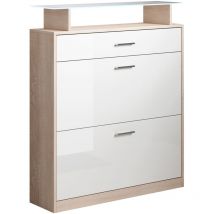 Recibidor Zapatero Mueble de Entrada Mesa de Entrada Consola Con luces led Modelo Paola Sonoma Mate y Blanco Brillo