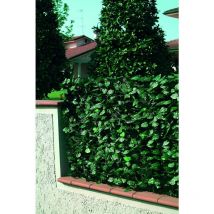 Clôture en pvc avec feuilles de laurier et filet d'ombrage 1,5x3