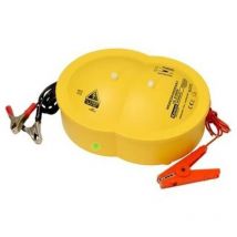 Electric fence Recinzioni Principio di funzionamento Corrente elettrica 1 pz. - Kemo