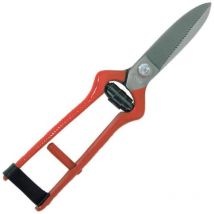 Ciseaux de récolte 20 95001 droit