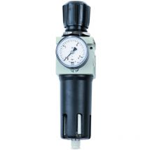 Schneider - Réducteur de pression filtrant 3/4''