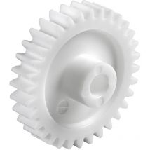 Reely - Poliacetale Ingranaggio dentato cilindrico Tipo di modulo: 0.5 ø foro: 3 mm Numero di denti: 15