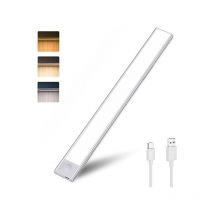 Sysled - Réglette led effet néon avec détecteur de mouvement et batterie rechargeable usb en cct pose facile. Dimension: 30cm