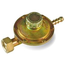 Régulateur De Gaz À Réglage Variable 1 Kg/h