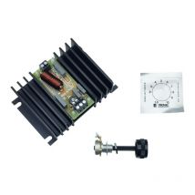 Tecnel - Regulador de tensión con carga resistiva 2000W/230 Vac TE7706