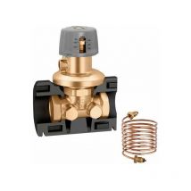 Régulateur de pression différentielle 1/2'-3/4'-1' Caleffi 140 1/2' - 250÷600