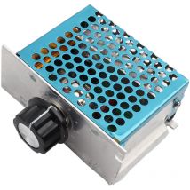 Régulateur de tension ac 4000W, variateur 220V, régulateur de température et de vitesse du moteur électrique - Sjlerst