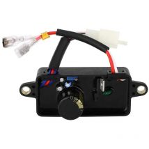 Sjlerst - Régulateur de Tension Générateur, 2,8KW avr Automatique Redresseur Monophasé Stabilisateur Générateur Pièces de Rechange avr