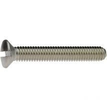 Din 964 Linsensenkschraube mit Schlitz m 10 x 40, A2 blank - Reidl