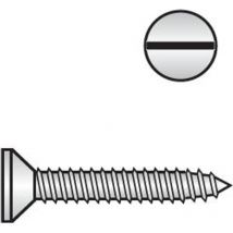 Din 97 Holzschrauben, 8 x 70 A4 blank, Senkkopf mit Schlitz - Reidl