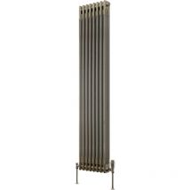 Colona 2 Column Vertical Radiator 1800mm h x 380mm w - Lacquer - Reina