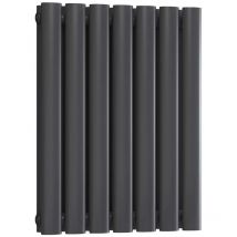 Reina - Neva Designer Radiator 550mm h x 413mm w Double Anthracite