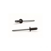 Remache Flor ø 4,8 x 21 Alu/Ac l. Negro 9005 250 Pz