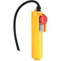 Télécommande pour Palan Électrique (Série WEH)