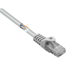 Renkforce RF-5043978 RJ45 Netzwerkkabel, Patchkabel CAT 5e U/UTP 0.15 m Grau mit Rastnasenschutz 1 S