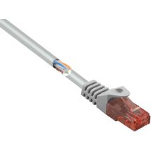 RF-5047520 RJ45 Netzwerkkabel, Patchkabel cat 6 u/utp 2.00 m Grau mit Rastnasenschutz, Hal - Renkforce