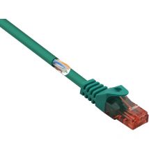 Renkforce - RF-5228352 RJ45 Câble réseau, câble patch cat 6 u/utp 1.00 m vert avec cliquet d'encastrement, sans halogène 1 pc(s) X919482